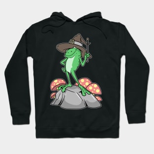 Cottagecore Aesthetic Frog Wizard Mushroom Hoodie